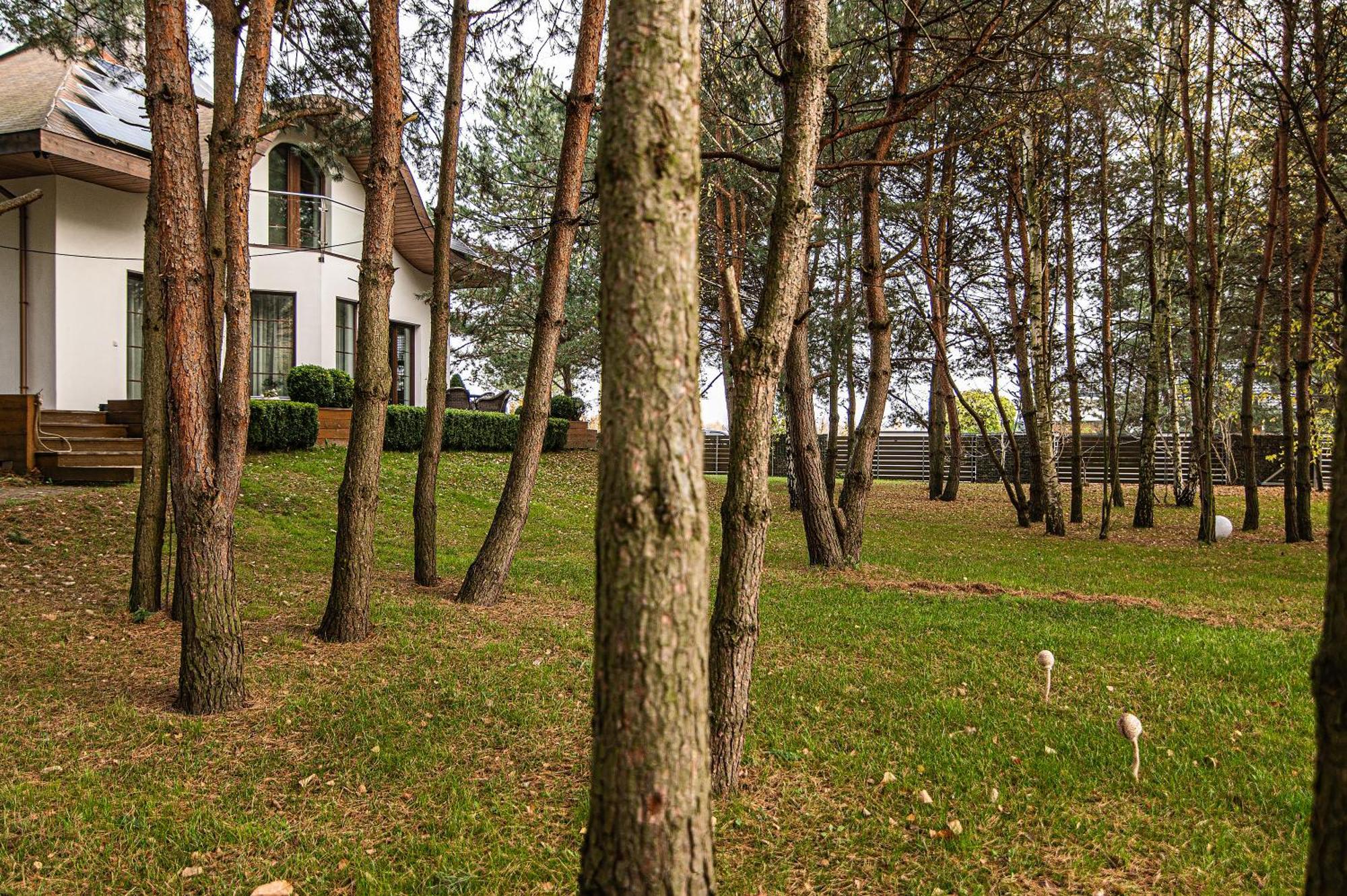 Modra Sikorka Villa Smardzewice Ngoại thất bức ảnh