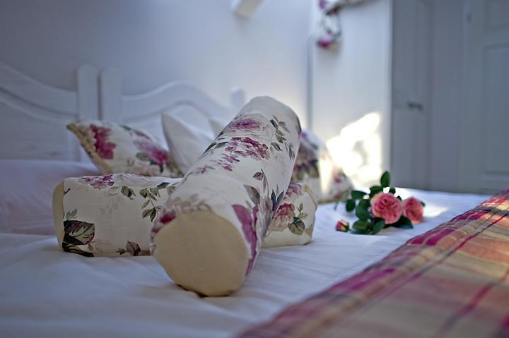 Modra Sikorka Villa Smardzewice Phòng bức ảnh